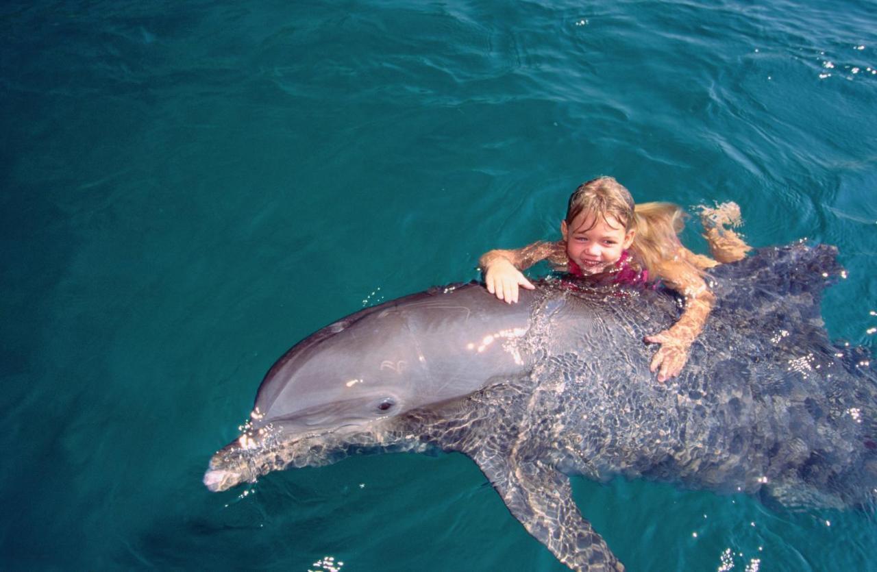 Vert Hotel Eilat By Afi Hotels Екстериор снимка Dolphin and girl